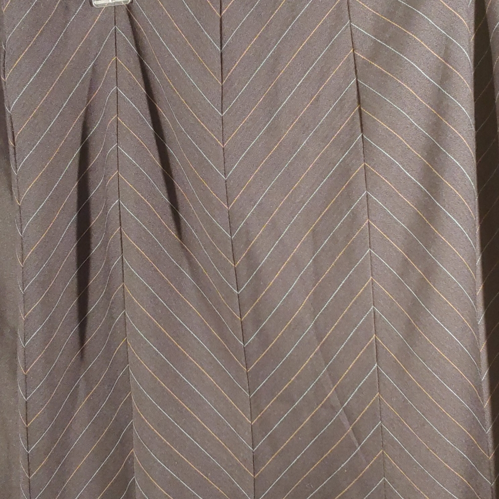 Dress Barn Skirt